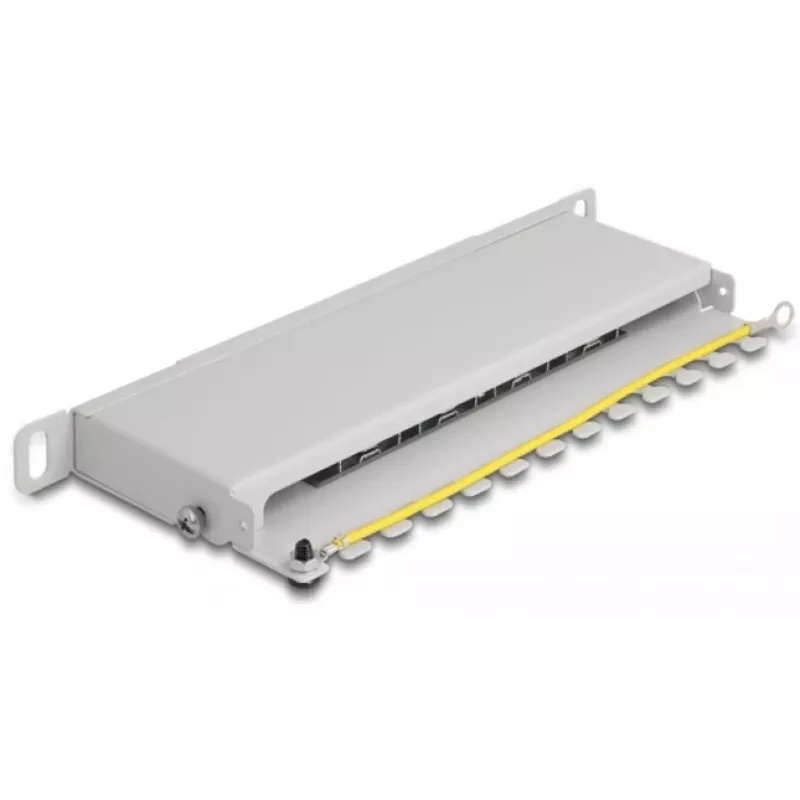 DeLOCK 10 Zoll Patch Panel, 8 Port, Kat.6A, 0,5HE, grau, Metall