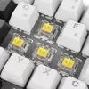Sharkoon SGK50 S4 Tastatur Home USB QWERTZ Deutsch Weiß RGB LED 60%