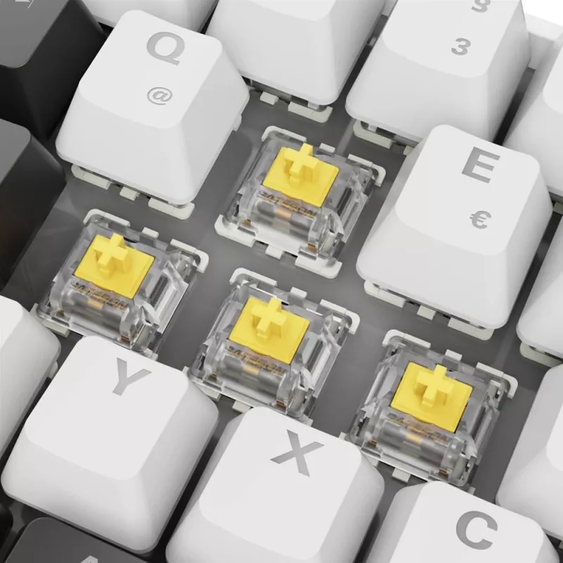 Sharkoon SGK50 S4 Tastatur Home USB QWERTZ Deutsch Weiß RGB LED 60%