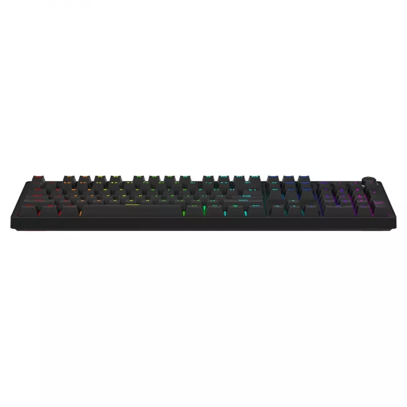 Mechanische Gaming-Tastatur SAVIO STYX Outemu Blue Hot-Swap RGB USB QWERTY US International Schwarz 104 Tasten Full-Size
