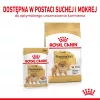 Trockenfutter Royal Canin Pomeranian Adult 3 kg – Formel für kleine Rassen für ausgewachsene Pomeranians
