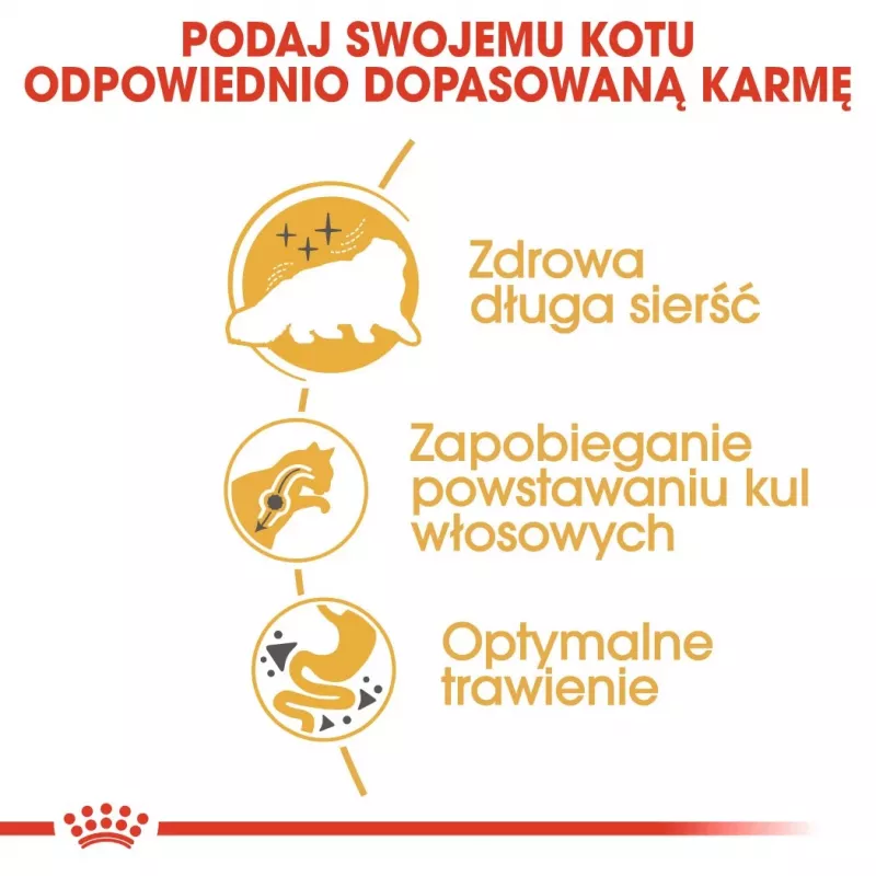Trockenfutter für Katzen Royal Canin Persian 4 kg — ausgewachsene Perserkatze, Huhn, 30 % Protein, 22 % Fett