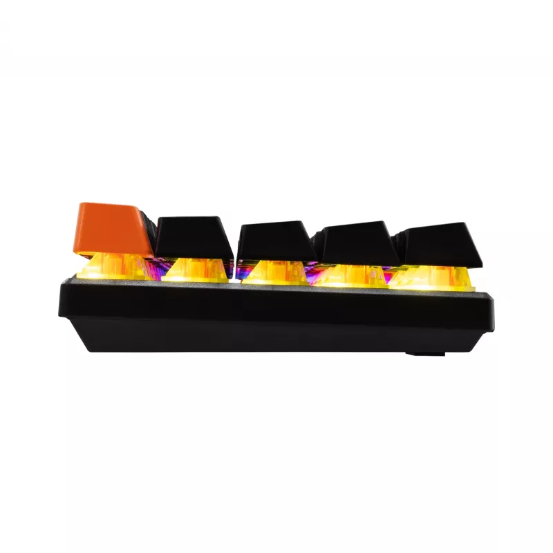 Mechanische Tastatur Baracuda Dolphin Schwarz US-Layout mit Blue-Switches