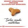 Trockenfutter für Katzen Royal Canin Bengal Adult 10 kg – Huhn, 40% Protein, 18% Fett
