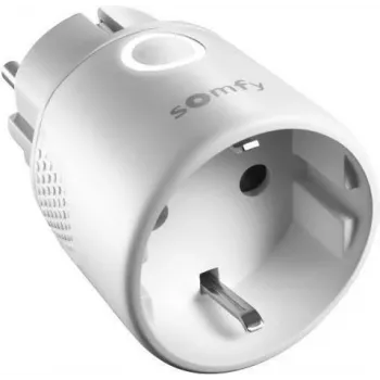 Somfy - Smart-Plug - Wireless - 868 MHz (1822618)