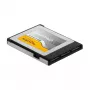 Speicherkarte DeLOCK 54066 256 GB CFexpress