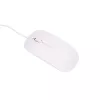 Extralink Stacionarus kompiuteris Xiaomi 24\ All-In-One PC Business | All-In-One-PC | Intel i5 11300H, 16 GB DDR4, 512 GB SSD, Tastatur, Maus, Webcam
