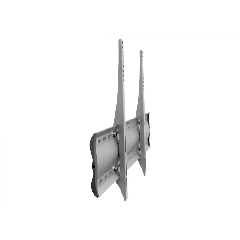 Ergotron 60-602-003 Silber