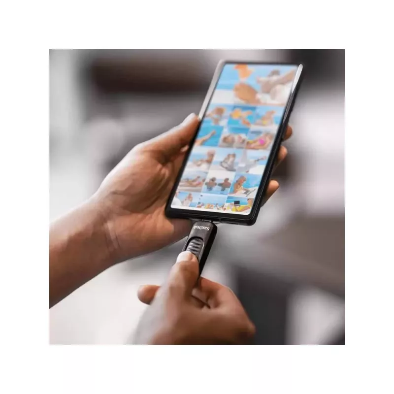 USB-Flash-Laufwerk SanDisk 128 GB USB Typ-C SDCZ480-128G-G46