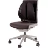 STUHLRÜCKENSTÜTZE/BACK ANGEL 8026401 FELLOWES
