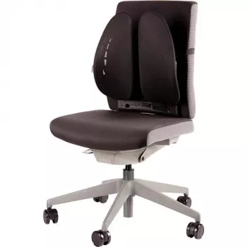 STUHLRÜCKENSTÜTZE/BACK ANGEL 8026401 FELLOWES