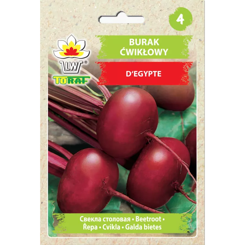 Ägyptische Rote Bete D'Egypte Toraf Gemüsesamen, 10g-Packung