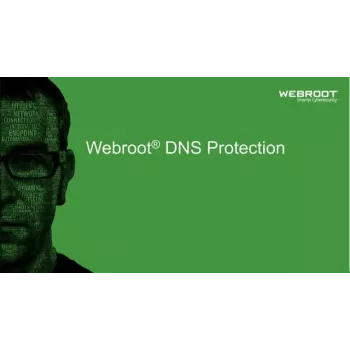 Webroot | DNS Protection with GSM Console | 1 Jahr(e) | Lizenzmenge 10-99 Benutzer