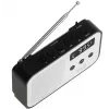 Tragbares Digitalradio Adler AD 1907 — UKW/MW, digitaler Tuner, Wecker, USB-C, 600 mAh Akku, LCD, 20 Senderspeicher, Teleskopantenne