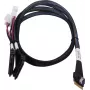 SAS-Kabel ADAPTEC Microchip Technology 2305500-R SlimSAS ×8 auf 2×2SFF-8639 U.2, 0,8 m, schwarz