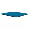 Thermal Grizzly Minus Pad Advance – 100 x 100 x 1,5 mm, 2 Stück