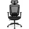 Bürostuhl Sharkoon OfficePal C10 – schwarz, ergonomisches Design, höhenverstellbar