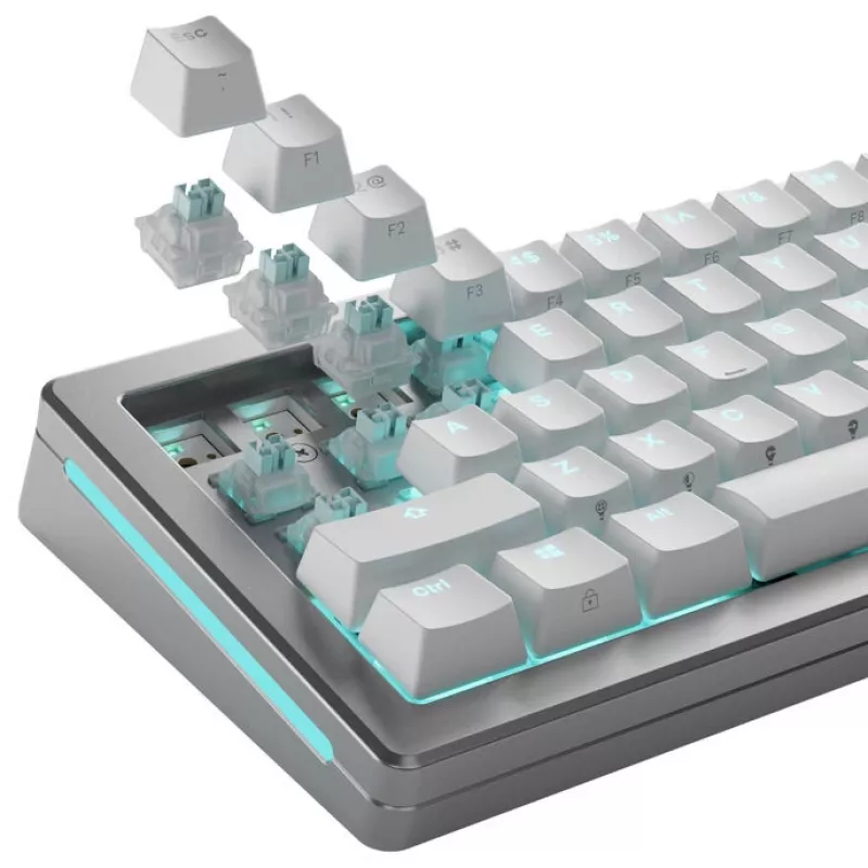 Mechanische Tastaturschalter GLORIOUS Lynx HE Silent, Hall-Effekt, linear, MX-Stem, 40 g Betätigungskraft, vorgeschmiert, 36 Stück