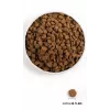 ORIJEN Dog Original - Trockenfutter für Hunde - 2kg