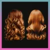 Haarstyler SBB. Blow Dry Air Styler SBDR-2000-EU — Föhn und Bürstenwerkzeug