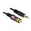 Audiokabel DeLOCK 84668 3m 3,5mm Schwarz
