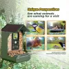 EASYPIX Bird Camera Easypix Bird Cam 10123 1080p HD Nachtsicht