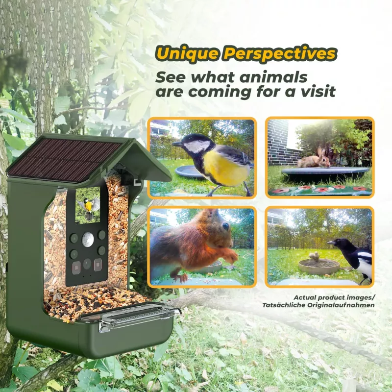 EASYPIX Bird Camera Easypix Bird Cam 10123 1080p HD Nachtsicht