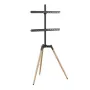 TV-Gerät Zubehör Bodenständer 32-65/TRIPOD TVS-65S-01 Gembird