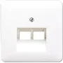 Wandsteckdose RJ-45 JUNG CD 569-2 UA WW Weiß — Thermoplast
