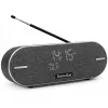 Tragbares Radio TechniSat DIGITRADIO BT 2 DAB+ FM 20W
