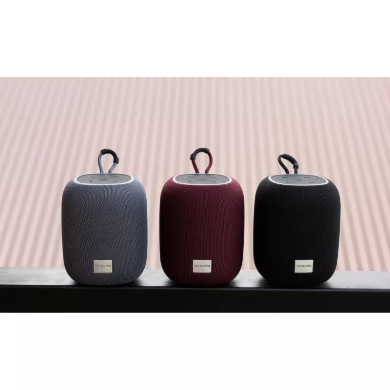 Canyon CNE-CBTSP8B Produkt Schwarz