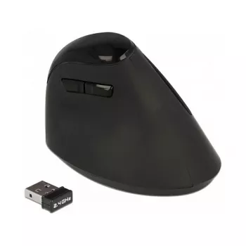 Maus DeLOCK 12599 RF kabellos Rechtshänder 1600 DPI