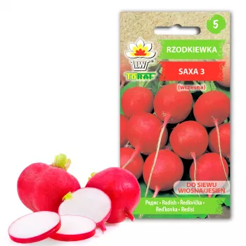 Saxa 3 Radieschensamen, 10g Gemüsesamen-Packung