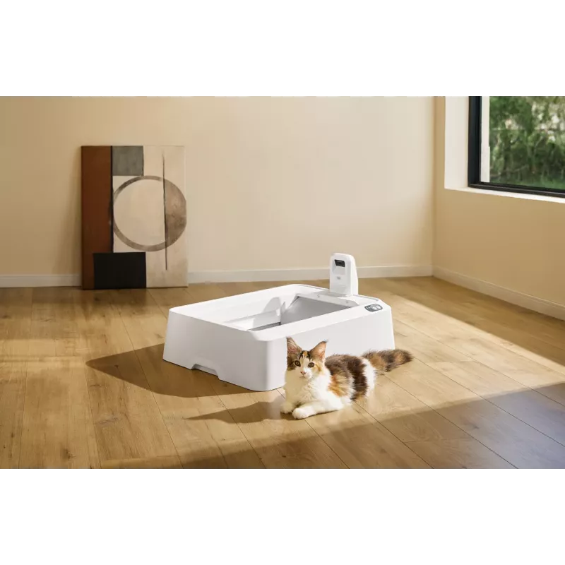 Selbstreinigende Katzentoilette PETKIT T7-EU, weiß