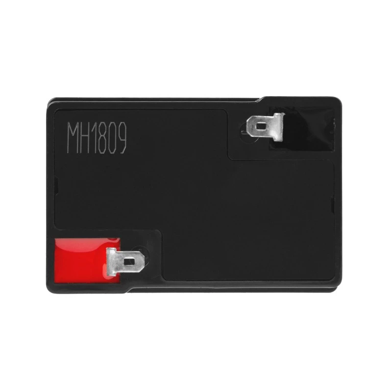 Batterie AGM VRLA 6V 4Ah IP54