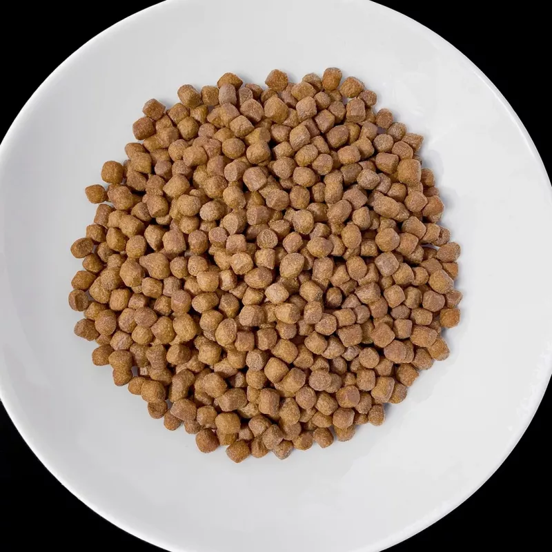 VET RESPONSE Renal - Trockenfutter für Hunde - 8 kg