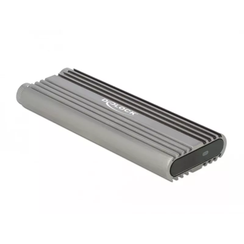 SSD-Gehäuse DeLOCK 42001 Silber M.2