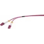 Renkforce RF-4942830 Glasfaser-LWL-Verbindungskabel [1x LC-Stecker - 1x LC-Stecker] 50/125 µ Multimode OM4 1,00 m (RF-4942830)