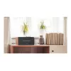 Edifier | Kleiner Aktivlautsprecher | D12 | Bluetooth | Drahtlose Verbindung