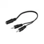 Wentronic Goobay 3,5-mm-Klinken-Adapterkabel, Schwarz, 0,2 m - 3,5-mm-Klinkenbuchse (3-polig, Stereo) > 2x 3,5-mm-Klinkenstecker (2-polig, Mono) (50472)