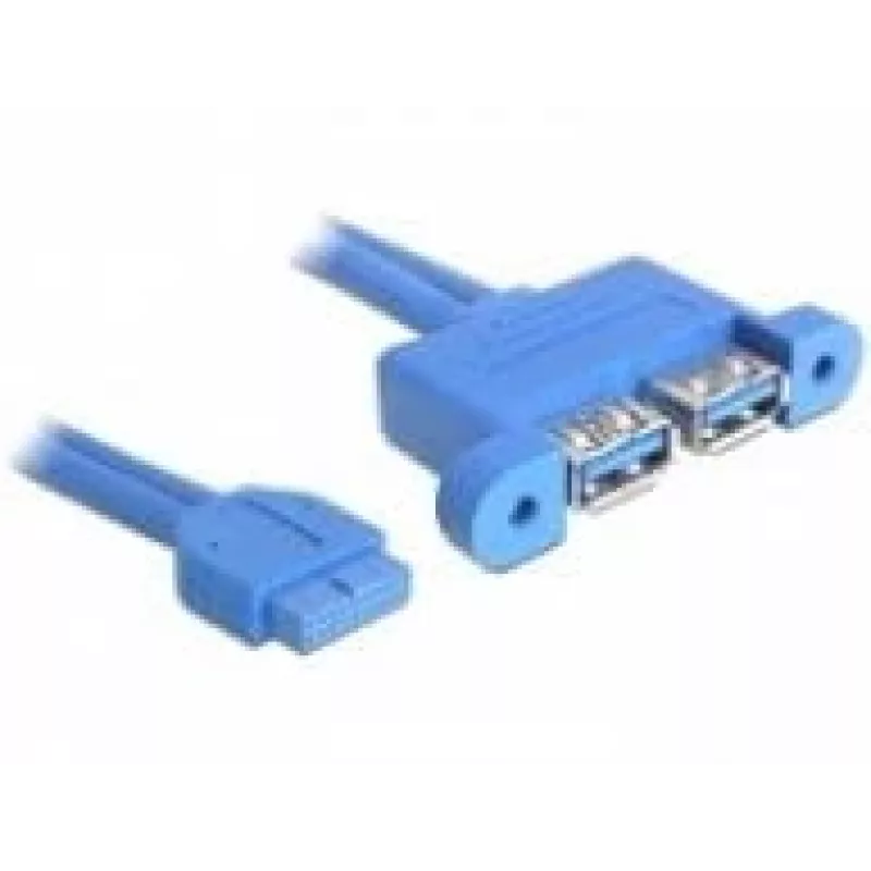USB-Kabel DeLOCK 82941 USB 3.2 Gen 1 0,45 m 2 x USB A Blau