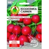 Seeds Apte Rzodkiewka CARMEN — Polnische Rettichsorte für den ganzjährigen Anbau