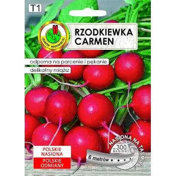 Seeds Apte Rzodkiewka CARMEN — Polnische Rettichsorte für den ganzjährigen Anbau