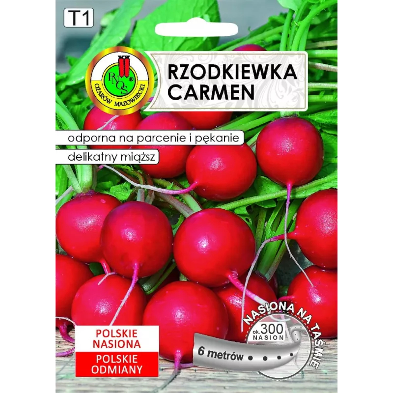 Seeds Apte Rzodkiewka CARMEN — Polnische Rettichsorte für den ganzjährigen Anbau