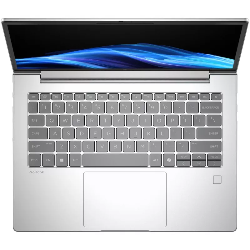 HP ProBook 4 G1a Notebook AI - AMD Ryzen 7 250 / 3,3 GHz - Win 11 Pro - Radeon 780M - 32 GB RAM - 1 TB SSD NVMe - 35,6 cm (14 Zoll)
