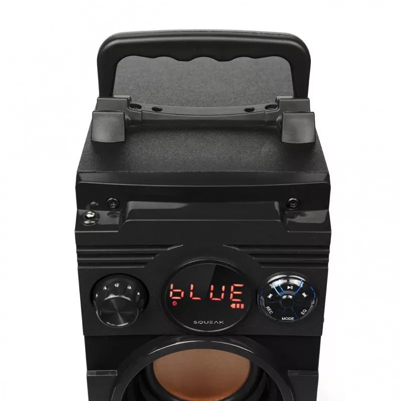 Squeak Bassblaster Bluetooth 5.1 Lautsprecher, FM-Radio, MP3-Player SQ1001