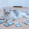 ANIMAL ISLAND Truthahn / Weißfisch / Rind / Hühnerfilets in Brühe - Nassfutter für Katzen - 80x85g
