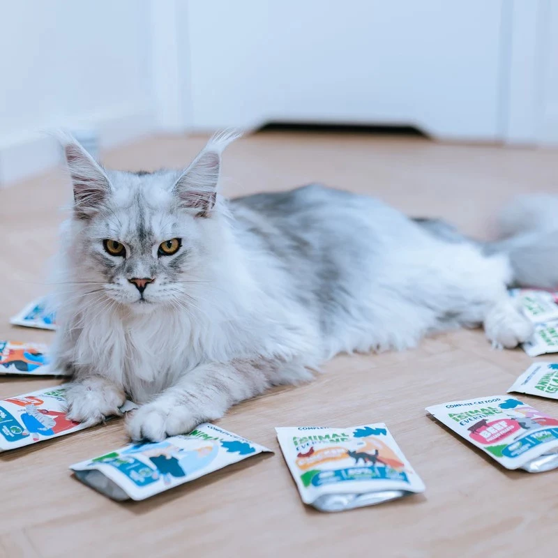 ANIMAL ISLAND Truthahn / Weißfisch / Rind / Hühnerfilets in Brühe - Nassfutter für Katzen - 80x85g