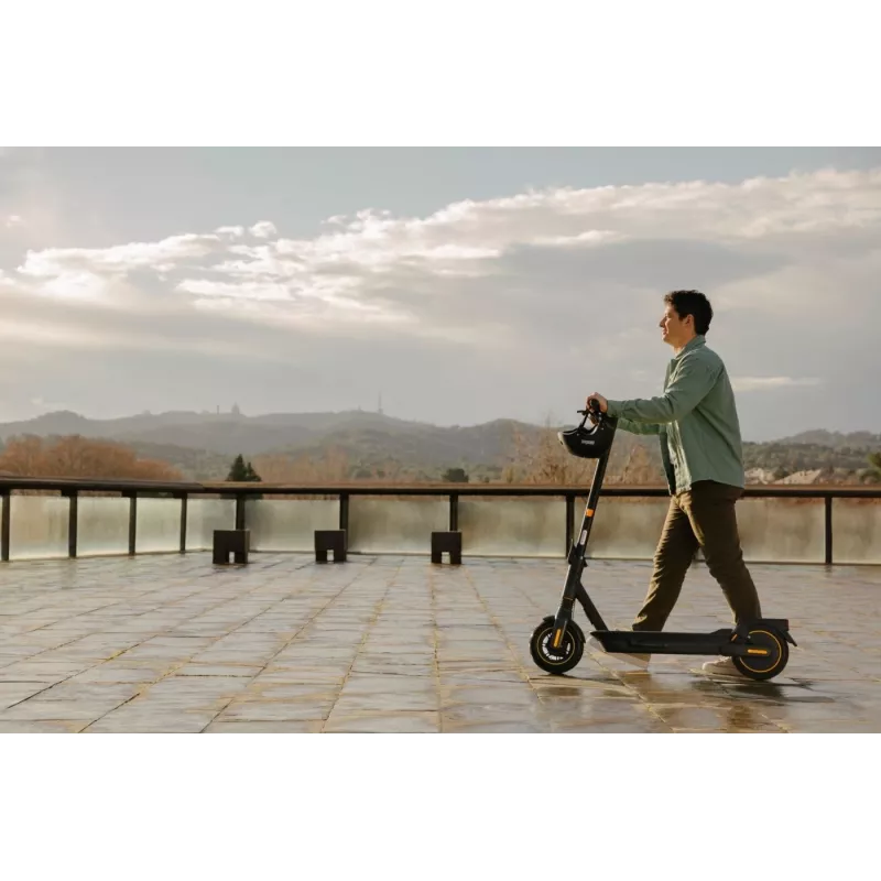 Classic scooter Ninebot by Segway KickScooter MAX G2 D