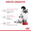 Trockenfutter für Katzen Royal Canin Mother & Babycat 2 kg – Huhn, für trächtige und säugende Kätzinnen und Kätzchen (Junior)
